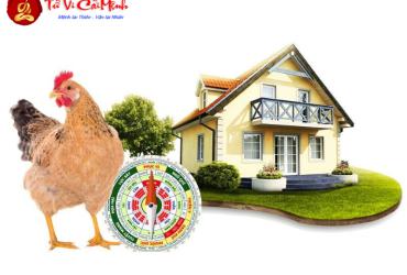 Hướng Nhà Hợp Phong Thủy Cho Người Tuổi Dậu: Thu Hút Tài Lộc Và Vượng Khí