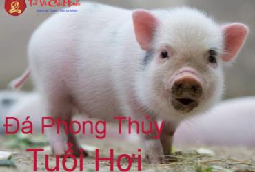 Bí Quyết Chọn Đá Phong Thủy Cho Người Tuổi Hợi: Kích Hoạt Tài Lộc Và Vận May