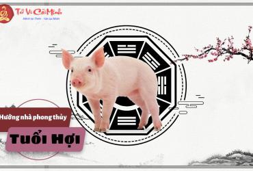 Hướng Nhà Hợp Phong Thủy Cho Người Tuổi Hợi: Thu Hút Tài Lộc Và May Mắn