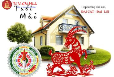 Hướng Nhà Hợp Phong Thủy Cho Người Tuổi Mùi: Bí Quyết Thu Hút Tài Lộc