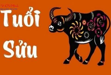 Vật Phẩm Phong Thuỷ Cho Người Tuổi Sửu: Bí Quyết Thu Hút Tài Lộc Và Vượng Khí