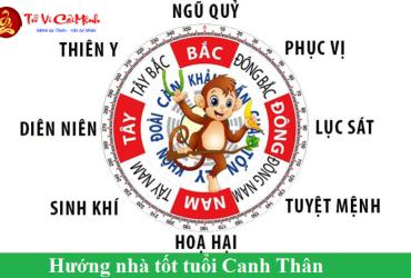 Hướng Nhà Hợp Phong Thủy Thu Hút Tài Lộc Cho Người Tuổi Thân