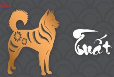 Vật Phẩm Phong Thủy Cho Người Tuổi Tuất – Bí Quyết Thu Hút Tài Lộc