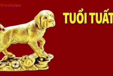 Ý Nghĩa Tượng Chó Trong Phong Thủy – Bảo Vệ, Thu Hút Tài Lộc Và Bình An