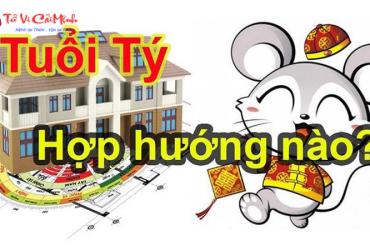 Hướng Nhà Hợp Phong Thủy Cho Người Tuổi Tý: Bí Quyết Thu Hút Tài Lộc Và Bình An