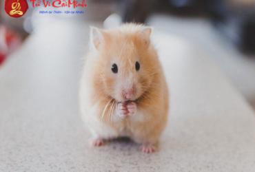 Tranh Phong Thủy Cho Người Tuổi Tý: Bí Quyết Hút Tài Lộc Và Tạo Không Gian Cân Bằng