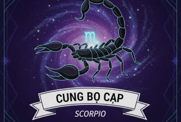 Sự Khác Biệt Giữa Cung Bọ Cạp Tháng 10 Và Tháng 11