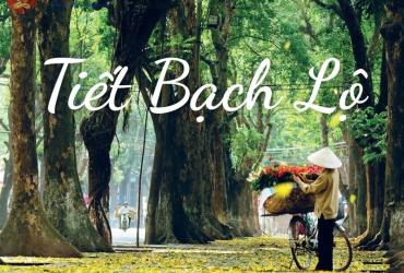 Bạch Lộ Là Gì? Ý Nghĩa Tiết Bạch Lộ