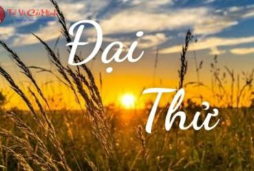 Đại Thử Là Gì? Ý Nghĩa Tiết Đại Thử