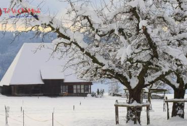 Đại Tuyết Là Gì? Ý Nghĩa Tiết Đại Tuyết