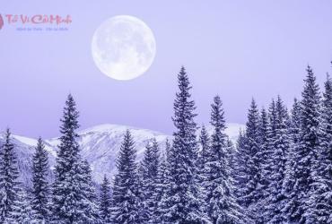 Đông Chí Là Gì? Ý Nghĩa Tiết Đông Chí