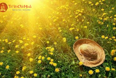 Hạ Chí Là Gì? Ý Nghĩa Tiết Hạ Chí