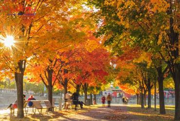 Lập Thu Là Gì? Ý Nghĩa Tiết Lập Thu