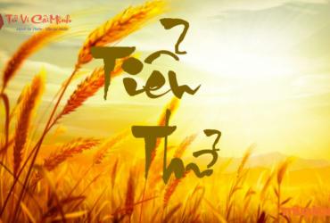 Tiểu Thử Là Gì? Ý Nghĩa Tiết Tiểu Thử