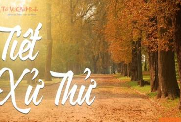 Xử Thử Là Gì? Ý Nghĩa Tiết Xử Thử