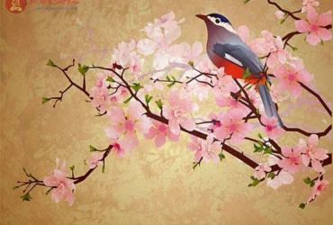 Xuân Phân Là Gì? Ý Nghĩa Tiết Xuân Phân