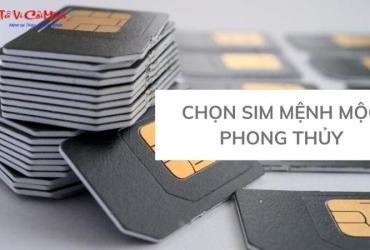 Sim Hợp Mệnh Mộc: Bí Quyết Chọn Sim Phong Thủy Mang Lại Tài Lộc Và Thành Công