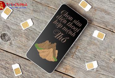 Sim Hợp Mệnh Thổ: Bí Quyết Chọn Sim Phong Thủy Kích Tài Lộc Và Sự Ổn Định