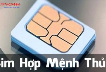 Sim Hợp Mệnh Thủy: Bí Quyết Chọn Sim Phong Thủy Thu Hút Tài Lộc Và Thành Công