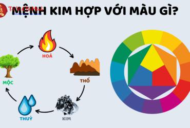 Mệnh Kim Hợp Màu Gì? Bảng Màu Sắc Tương Sinh Tương Khắc Cho Người Mệnh Kim