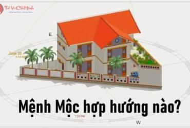Bí Mật Hướng Nhà May Mắn Cho Người Mệnh Mộc: Thu Hút Tài Lộc và Vượng Khí