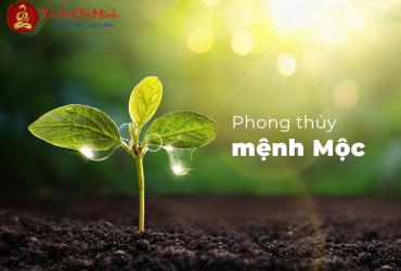 Khám Phá Bí Mật Con Số May Mắn Cho Mệnh Mộc: Tài Lộc, May Mắn Đều Trong Tay!