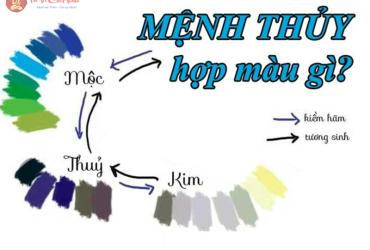 Mệnh Thủy Hợp Màu Gì? Bí Quyết Chọn Màu Sắc Thu Hút Tài Lộc