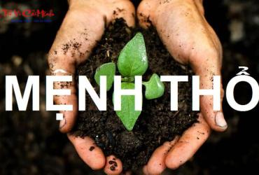 Mệnh Thổ Hợp Màu Gì? Bí Quyết Chọn Màu Sắc Cân Bằng Năng Lượng