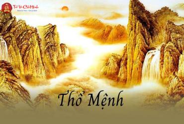 Mệnh Thổ Mua Điện Thoại Màu Gì? Bí Quyết Chọn Màu Thu Hút Tài Lộc