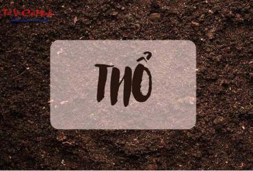 Phong Thủy Nhà Ở Cho Người Mệnh Thổ: Bí Quyết Thu Hút Tài Lộc Và Sức Khỏe