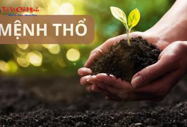 Khám Phá Bí Mật Vật Phẩm Phong Thủy Mang Lại Tài Lộc Cho Người Mệnh Thổ