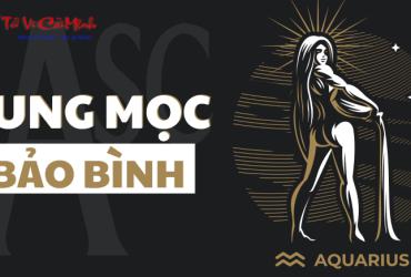 Cung Mọc Song Ngư khi kết hợp với 12 Sun Sign