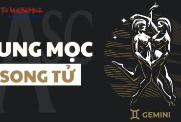 Cung Mọc Song Tử khi kết hợp với 12 Sun Sign