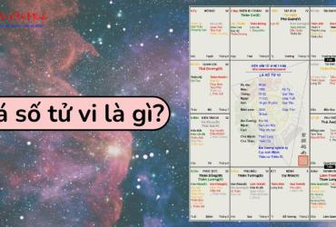 Lá số của bạn thuộc kiểu nào?