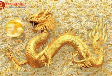 Đầu và đuôi con rồng của bạn nằm ở đâu?