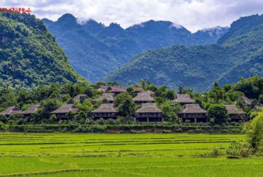 Bình Dương Quý Nhân Lộc Mã: Nghệ Thuật Phong Thủy Bình Địa Mang Lại Phú Quý