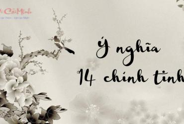 Ý Nghĩa 14 Chính Tinh Trong Lá Số Tử Vi