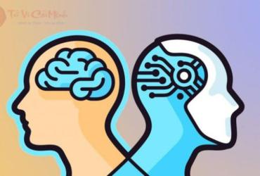 Trí Tuệ Cảm Xúc Vượt Trội - Đặc Quyền Của Những Cung Hoàng Đạo Nào?