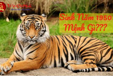 Sinh năm 1950 mệnh gì? Phân tích chi tiết về người tuổi Canh Dần