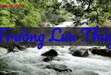 Sinh năm 1953 mệnh gì? Khám phá đầy đủ về người tuổi Quý Tỵ