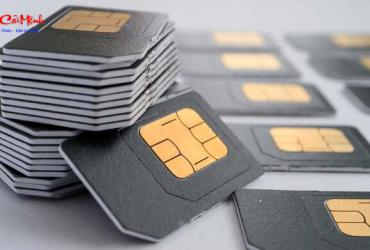 Sinh Năm 1954 Hợp Số Nào? Bí Quyết Chọn Sim Phong Thủy Cải Vận Cho Tuổi Giáp Ngọ