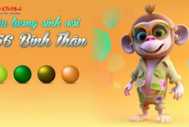 Sinh năm 1956 hợp màu gì? Giải mã màu sắc phong thủy cho tuổi Bính Thân