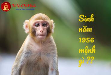 Sinh năm 1956 mệnh gì? Phân tích chi tiết về mệnh Sơn Hạ Hỏa
