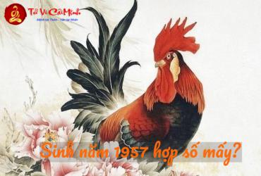 Khám Phá Bí Mật: Sinh Năm 1957 Hợp Số Nào, Sim Phong Thủy Mang Lại Tài Lộc!