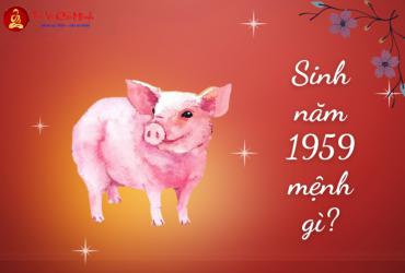 Sinh năm 1959 mệnh gì? Bình Địa Mộc và ý nghĩa trong phong thủy