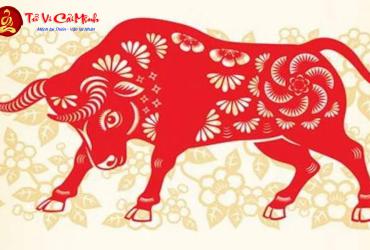 Sinh năm 1961 mệnh gì? Ý nghĩa và đặc điểm của mệnh Bích Thượng Thổ