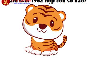 Khám Phá Con Số May Mắn Và Sim Phong Thủy Hút Tài Lộc Cho Người Sinh Năm 1962!