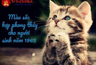 Sinh năm 1963 hợp màu gì? Bí quyết phong thủy màu sắc cho tuổi Quý Mão