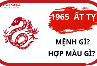 Sinh năm 1965 mệnh gì? Phân tích chi tiết và ứng dụng phong thủy