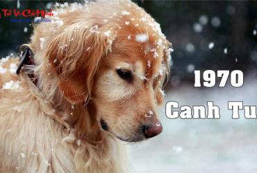 Khám Phá Bí Mật: Sinh Năm 1970 Hợp Số Nào Để Tài Lộc Đầy Nhà?